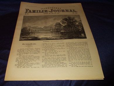 1895 nr 029 Illustrert Familie - Journal