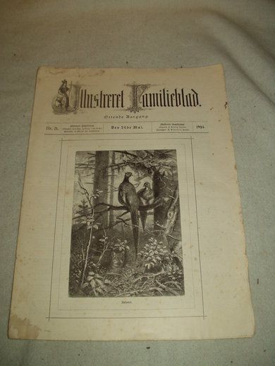 1894 nr 021 Illustrere Familieblad