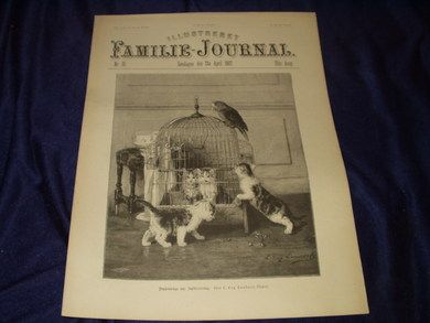 1897 nr 015 Illustreret Familie Journal