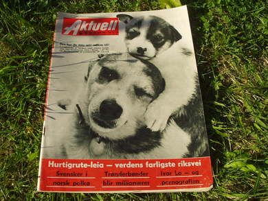 1963 nr 017 Aktuell