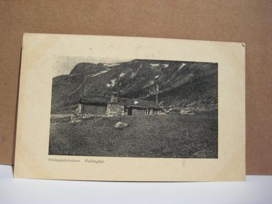 Sveingardsbotten Hallingdal 22 XII 28