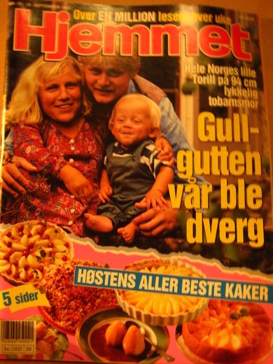1995 nr 039 Hjemmet