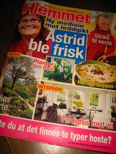 2009 nr 044 Hjemmet