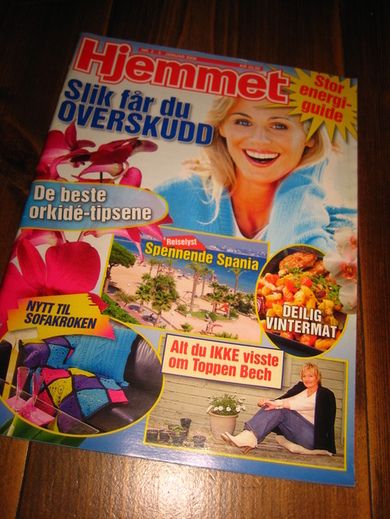 2006 nr 002 Hjemmet
