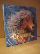 Ransford: BLI KJENDT MED PONNIEN DIN. 2008.