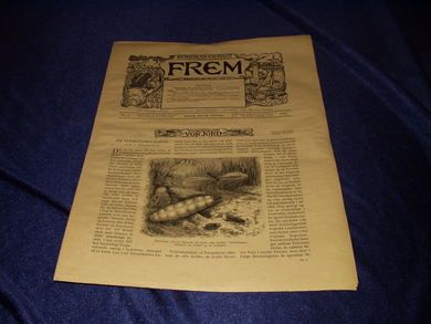 1900 nr 004 FREM Lys over land