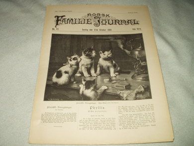 1900 nr 042 NORSK FAMILIE JOURNAL