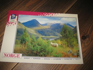 013 LOOC 1991 Jostedalen