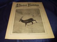 1914 nr 013 Illustreret Familieblad