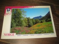 064 LOOC 1991 Sommer i Norge