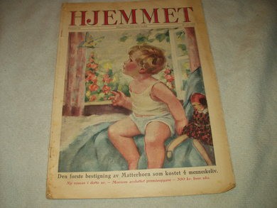 1929,nr 029, HJEMMET