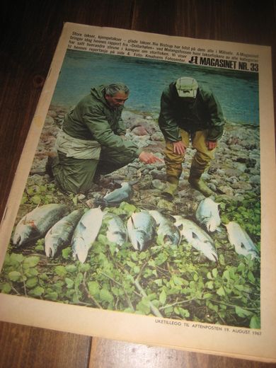 1967 nr 033 A MAGASINET