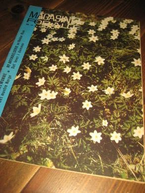 1968 nr 019 MAGASINET FOR ALLE