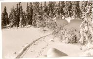 Vinter i Norge,               Mittet & Co, 806