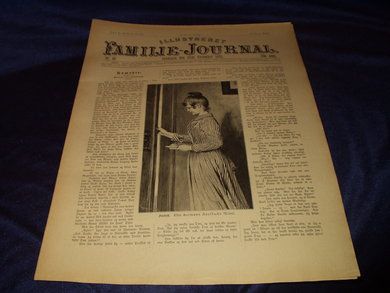 1893 nr 048 Illustrert Familie - Journal