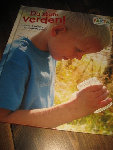 Du store verden Hvordan inspirere små oppdagere? 2008