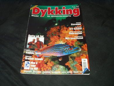 2002 nr 003 Dykking
