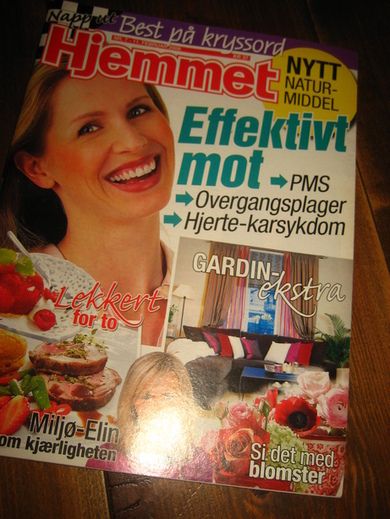 2008 nr 007 Hjemmet