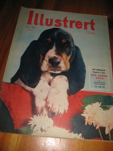 1957 nr 045 Illustrert