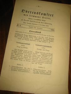 Overenskomster med fremmede Stater: 1902,nr 008, Overenskomst angaaende Telefonforbindelsen mellom Norge og Sverige. 