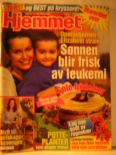 2000 nr 042 Hjemmet