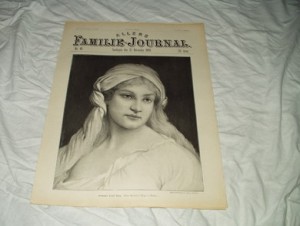 1899,nr 046, ALLERS FAMILIE JOURNAL