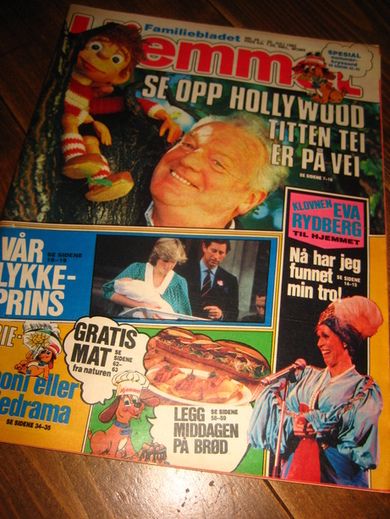 1982 nr 029 Hjemmet DIANA