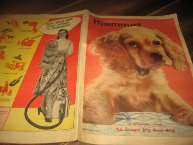 1955 nr 007 HJEMMET