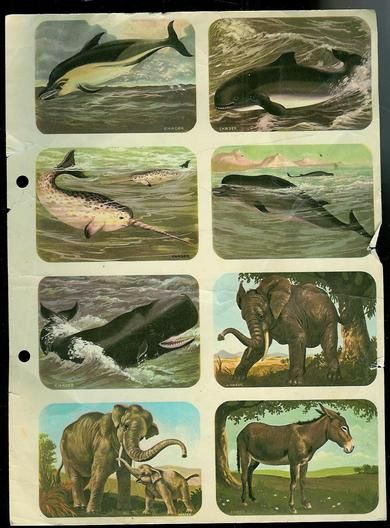 1960, Bilag til Norsk Ukeblad, ALL VERDENS DYR.