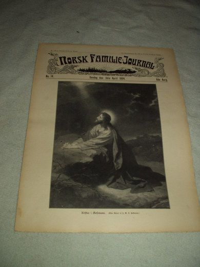 1904 nr 014 NORSK FAMILIE JOURNAL