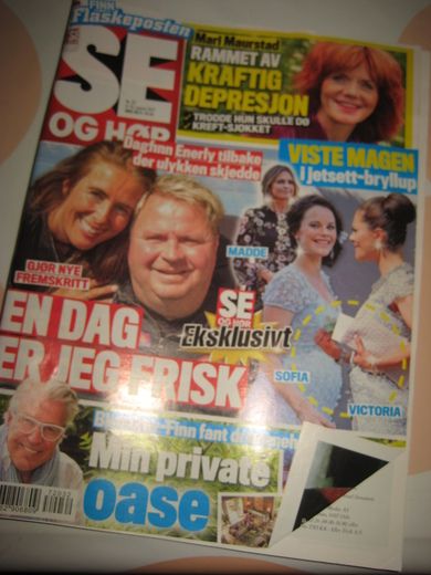 2017 nr 032 SE OG HØR