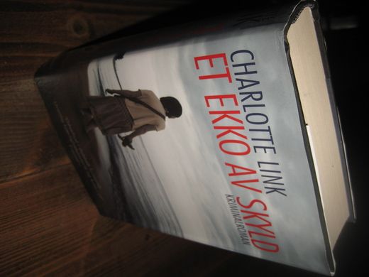 LINK CHARLOTTE: ET EKKO AV SKYLD 2011