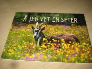 GJERSØE: Å JEG VET EN SETER. 2004.