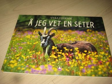 GJERSØE: Å JEG VET EN SETER. 2004.