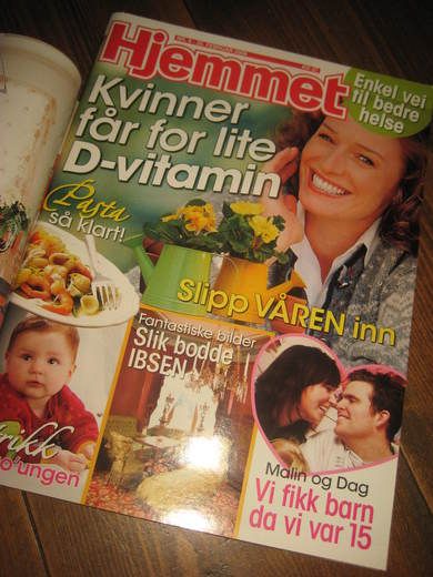 2008 nr 009 Hjemmet