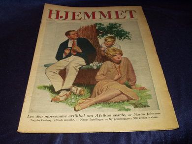 1929 nr 033 Hjemmet