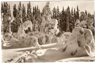 Kort nr 552, Vinter i Norge, Mittet & Co