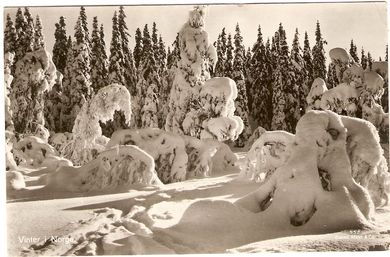 Kort nr 552, Vinter i Norge, Mittet & Co