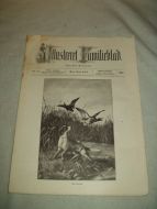 1894 nr 028 Illustrere Familieblad