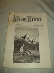 1894,nr 028,                       Illustrere Familieblad.