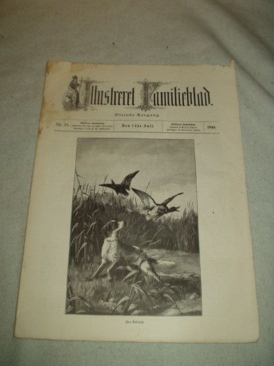 1894 nr 028 Illustrere Familieblad