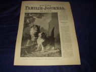 1898 nr 020 Allers Familie Journal