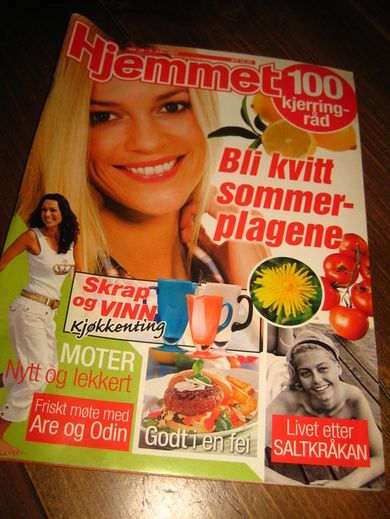 2007 nr 028 Hjemmet