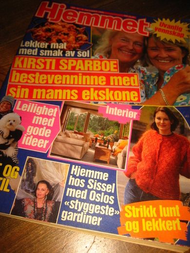 1996 nr 041 Hjemmet