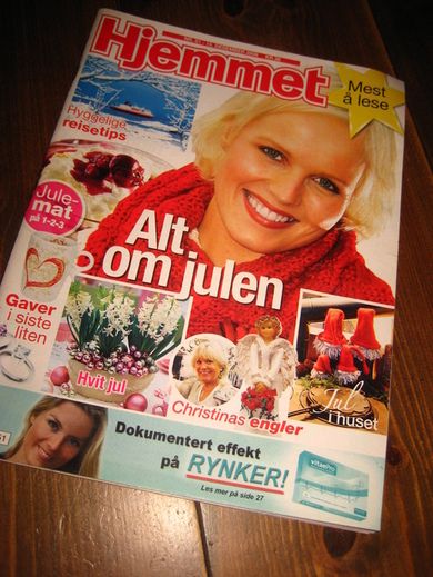 2008 nr 051 Hjemmet