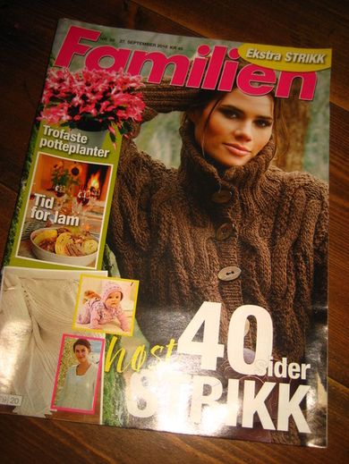 2010 nr 020 Familien