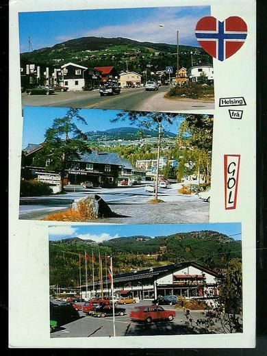 Partier fra GOL i Hallingdal