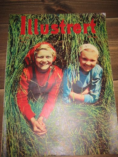 1954 nr 029 Illustrert Familieblad
