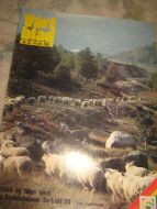 1981 nr 020 VÅRT BLAD