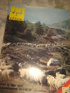 1981 nr 020 VÅRT BLAD